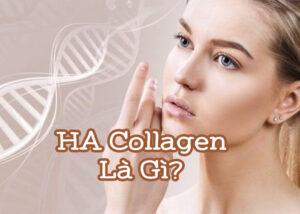 ha collagen là gì