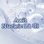Axit Nucleic Là Gì? Điểm Danh 1 Vài Công Dụng Của Axit Nucleic Trong Làm Đẹp