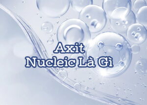 axit nucleic là gì